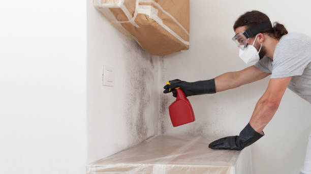 Professional Mold Inspection And Testing technician working in Douglas, MI